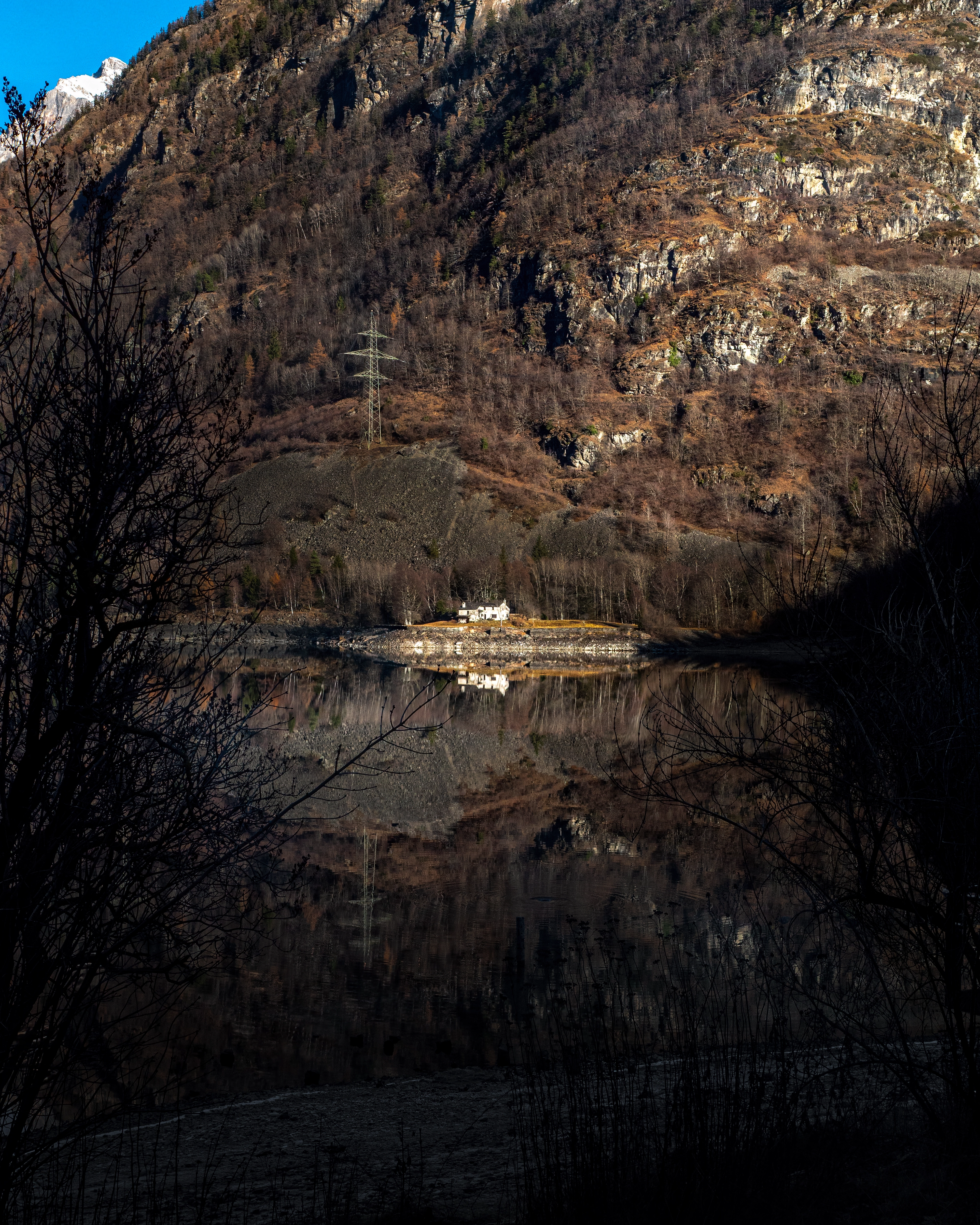 Lonely on the lake