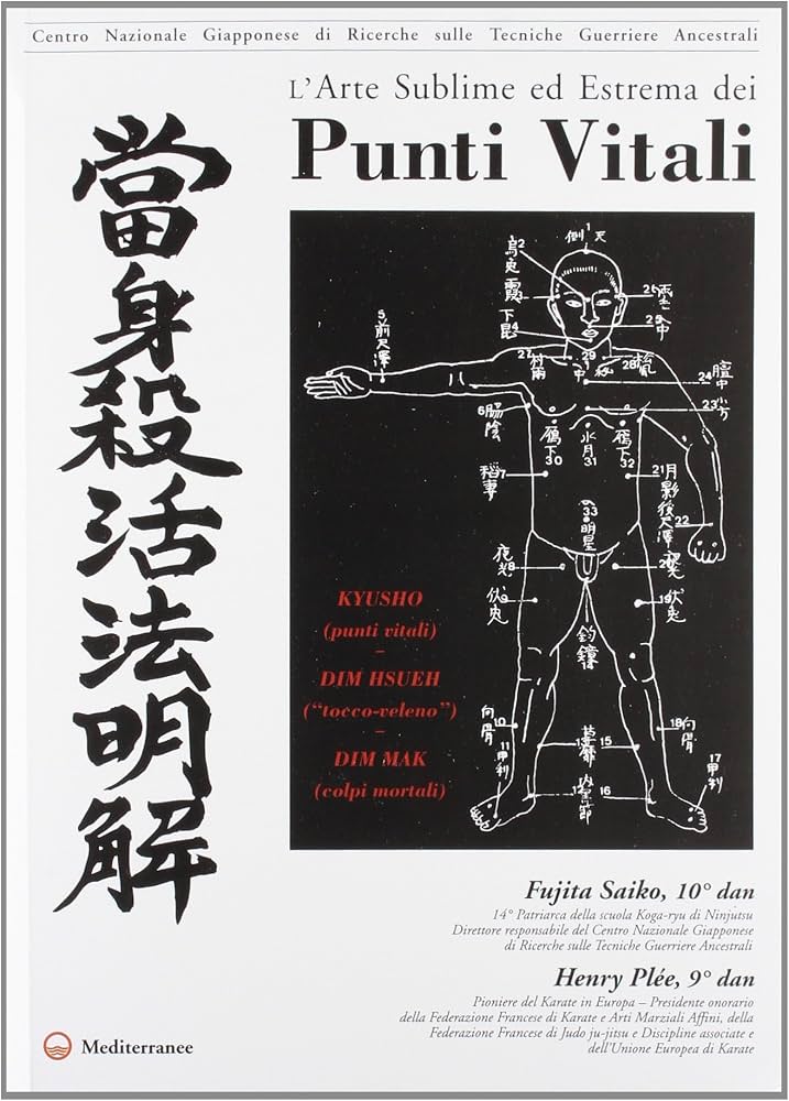 arte sublima ed estrema dei punti vitali